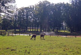 Ferienhaus Nahe Winstongolf Schwerin