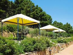 Estate in Monte Serra With Panoramic Views