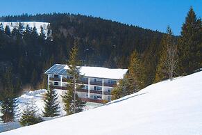 Apartment in Haidmuhle in a Beautiful Area