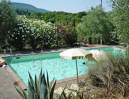 Charming House in Tuscany With Pool & Views