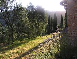 Charming House in Tuscany With Pool & Views