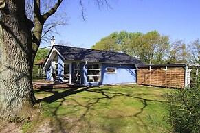 Ferienhaus Seeadler mit Sauna am Dummer See
