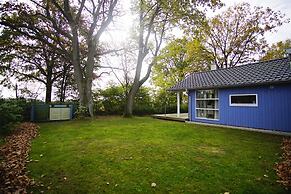 Ferienhaus Seeadler mit Sauna am Dummer See