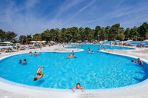 Zaton Apartment Near Sea Beach