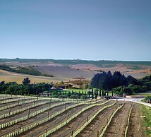 Apartment in Tuscany With Pool & Golf