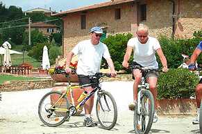 Nice Apartment in Montaione With Shared Pool