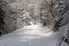 Doppelhaushalfte in Hasselfelde