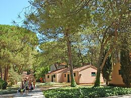 Apartment in Zaton Holiday Resort