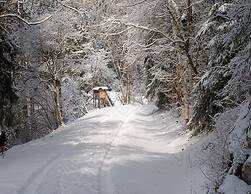 Doppelhaushalfte in Hasselfelde