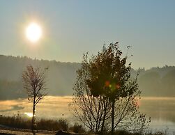 Doppelhaushalfte in Hasselfelde