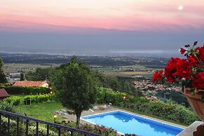 Estate in Monte Serra With Pool & Olive Views
