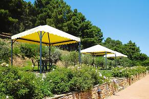 Estate in Monte Serra With Pool & Olive Views