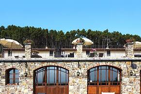 Estate in Monte Serra With Pool & Olive Trees