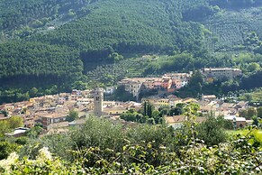 Estate in Monte Serra With Pool & Olive Trees