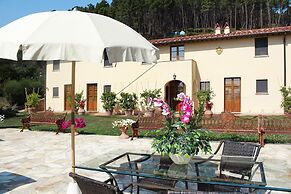 Estate in Monte Serra With Pool & Olive Trees