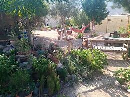 Masoudi Lodge