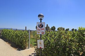 Apartment in Tuscany Near Sandy Beaches