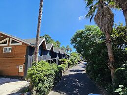 Tree Story Pension