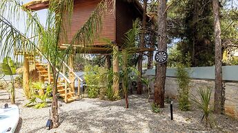 D Palm Premium Living