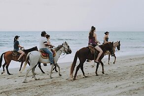 Akoma San Pancho