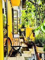 Autumn Hanoi House Bat Su