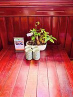 Canary Homestay