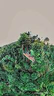 kaffeevalley home stay