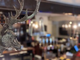 The Buck Hotel