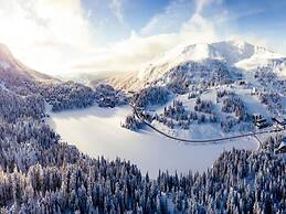 Chalet in Austria Near Ski Resort