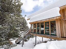 Chalet in Austria Near Ski Resort