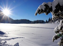 Studio Apartment Near Skiing