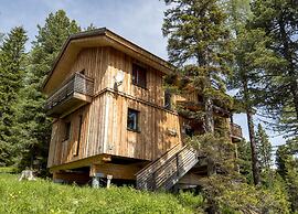 Amazing Chalet With Sauna