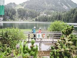 Chalet in Austria Near Ski Resort & Forest