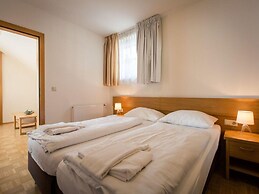 Apartment in Alps Near Ski Slopes