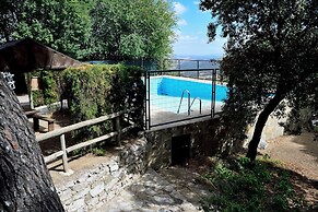 Camping Tajo Rodillo