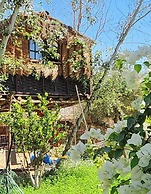 Riad salix agafay