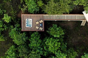 Tree of Life Ramvilas Bandhavgarh