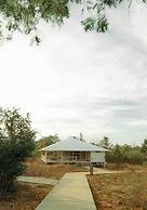 Tree of Life Ramvilas Bandhavgarh