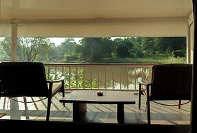 Tree of Life Ramvilas Bandhavgarh