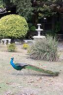 Quinta Pavo Real Complex by Acomodo