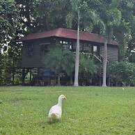 Quinta Pavo Real Complex by Acomodo