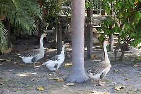 Quinta Pavo Real Complex by Acomodo