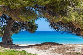 Formentera 2 in Can Picafort
