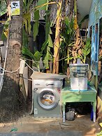 Tropical Bay