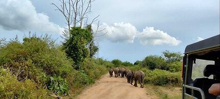 Harmony Haven Eco Resort Udawalawe