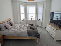 Cosy Bee