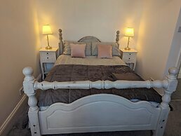 Cosy Bee