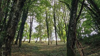 Les jardins de Nanine