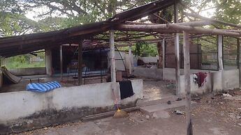 Backpackers Temple