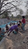 Backpackers Temple
